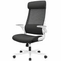 Ergonomischer Bürostuhl mit Netz, klappbare Armlehnen und verstellbarer Kopfstütze, Lendenwirbelstütze, EN 1335 Zertifiziert - Schwarz
