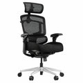 Ergonomischer Bürostuhl ErgoX Pro von FLEXISPOT mit vielseitiger Verstellbarkeit und hoher Belastbarkeit, Schwarz